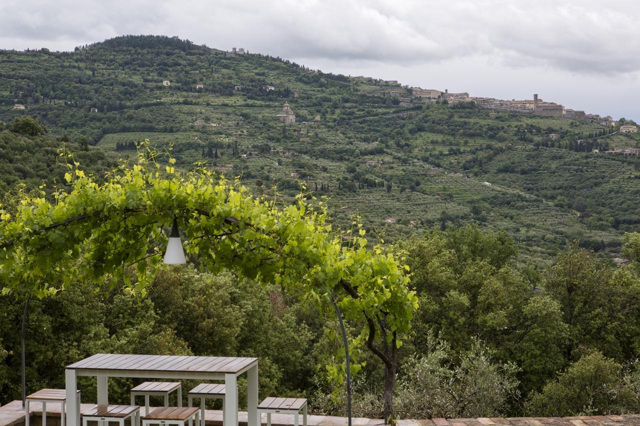 Villa Pomona Cortona Esterno foto